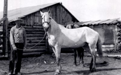 Maurice H. Henry