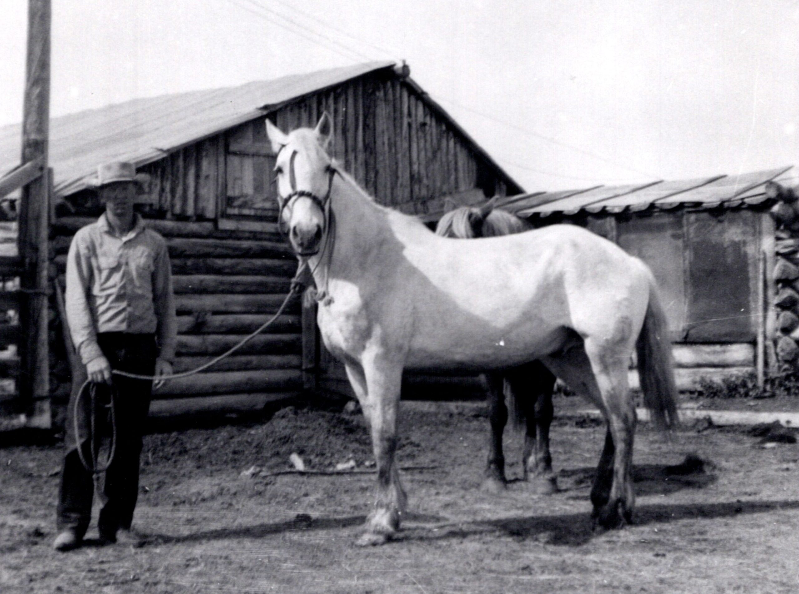 1_Henry Maurice